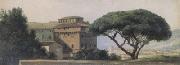 View of the Convent of the Ara Coeli The Umbrella Pine (mk05)